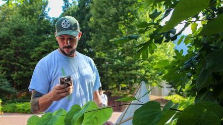 Alexander Smith inspects foliage